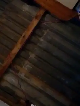 LUISSLEONN0958 online show from 09-25-25, 09:02