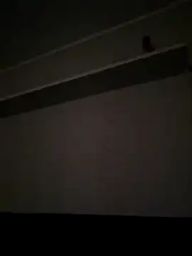 Snapshot of NibbleSweetie chatting on 12-13-25, 08:47 NibbleSweetie online show from 12-13-25, 08:47