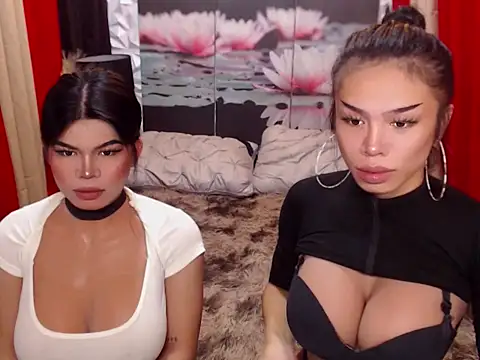 WILDROXIE online show from 12-15-25, 04:39