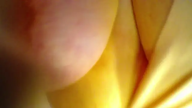 Snapshot of AntonellaRicher chatting on 09-26-25, 01:42 AntonellaRicher online show from 09-26-25, 01:42