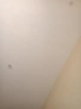 Snapshot of ElBufalo4l chatting on 11-04-25, 01:21 ElBufalo4l online show from 11-04-25, 01:21