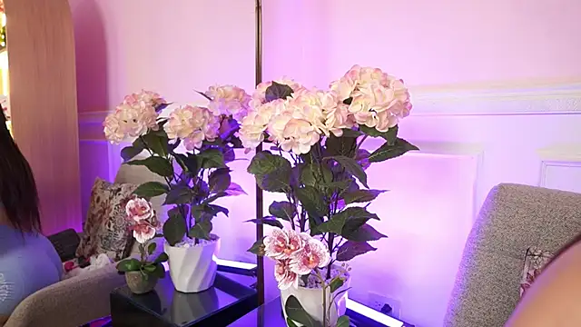 MilaCrave online show from 01-13-26, 11:37