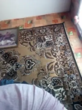 Romashka33011 online show from 03-02-26, 08:43