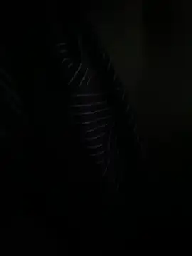 P E R V I T I N online show from 03-31-26, 11:05