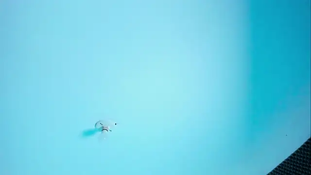 Im naho online show from 03-30-26, 10:00