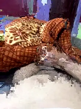 Rupkumarmaleforfun online show from 12-18-25, 02:34