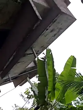 WholeAltimeter25 online show from 04-10-26, 10:42