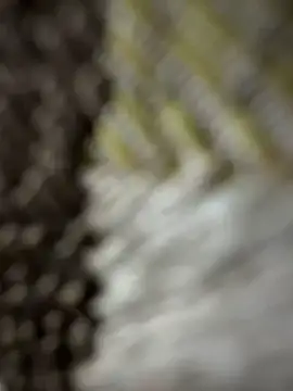 monster20cm online show from 03-15-26, 03:23