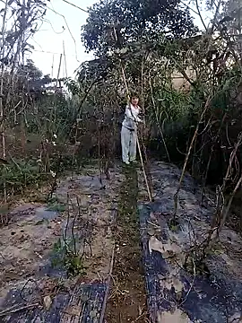 linda bae00 online show from 11-27-25, 12:46