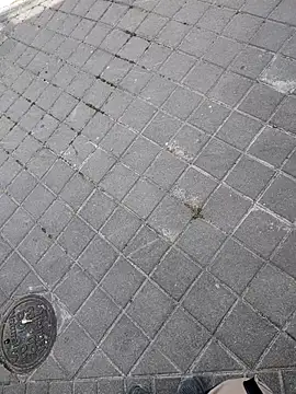 xxxfeo online show from 04-09-26, 11:59