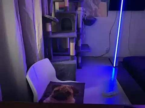 Snapshot of davesinner chatting on 03-02-26, 07:15 davesinner online show from 03-02-26, 07:15