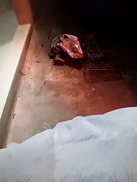 Snapshot of fanchunn chatting on 02-09-26, 09:57 fanchunn online show from 02-09-26, 09:57