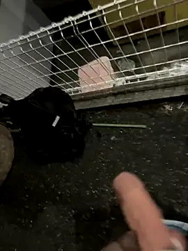 Snapshot of rinne0110 chatting on 09-13-25, 04:18 rinne0110 online show from 09-13-25, 04:18