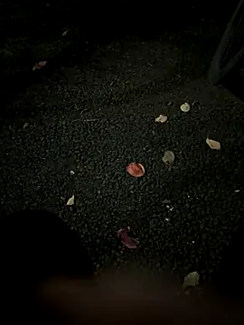 Snapshot of rinne0110 chatting on 11-05-25, 01:11 rinne0110 online show from 11-05-25, 01:11