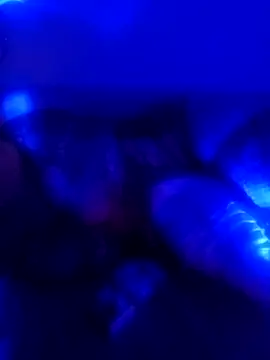 Snapshot of senacansu chatting on 10-26-25, 02:50 senacansu online show from 10-26-25, 02:50