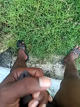 dolphiinn online show from 03-05-26, 01:34