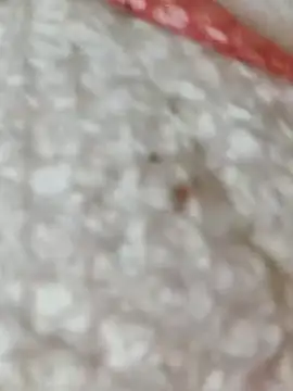 Markroco696 online show from 11-15-25, 05:38