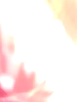 Dikchahot online show from 12-17-25, 05:24