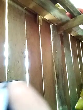 misa 00 online show from 04-06-26, 04:46