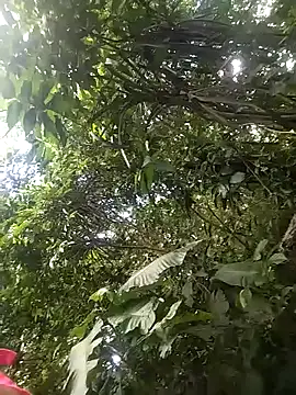 dulcelatin21 online show from 11-25-25, 07:58