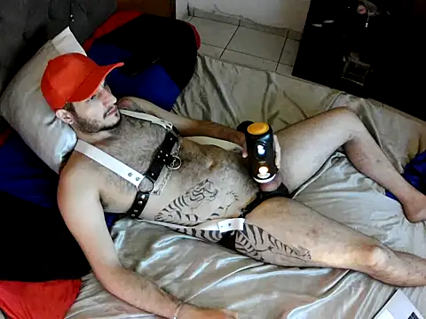 Snapshot of Dolfinhorb chatting on 05-04-26, 07:10 Dolfinhorb online show from 05-04-26, 07:10
