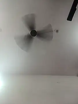 Appypie online show from 10-01-25, 05:24