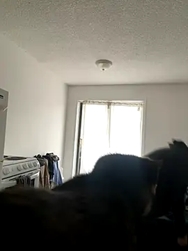 inked nekoo online show from 12-03-25, 03:32