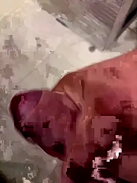 Snapshot of 123plmnbvcxz chatting on 09-29-25, 08:13 123plmnbvcxz online show from 09-29-25, 08:13