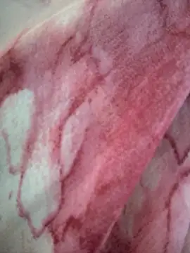 Monika thakurr online show from 04-05-26, 01:58