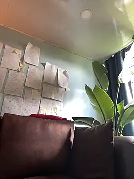 Canneela online show from 03-11-26, 06:47