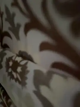 tran my online show from 11-12-25, 05:08