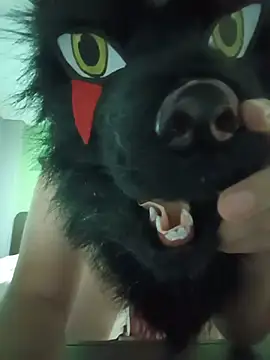 Wolf Okami SP online show from 07-21-26, 02:30