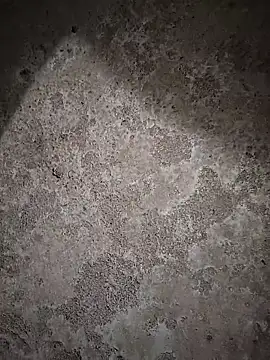 sexy  girls98 online show from 02-06-26, 11:46