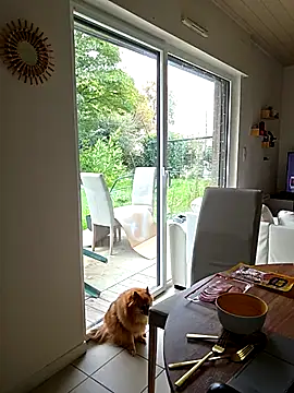 CornetDeGlace online show from 10-31-25, 11:55