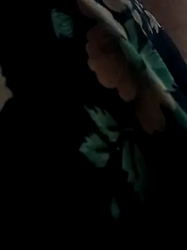 Payal950 online show from 04-13-26, 11:48