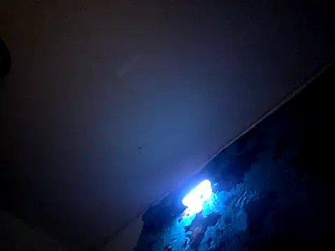 Bigdickdavis6969 online show from 02-15-26, 02:58