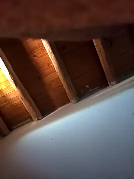 Rodriexequiel online show from 11-15-25, 02:13