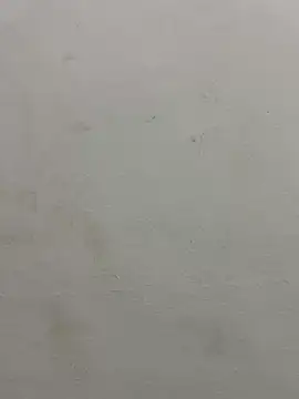 jully-jully online show from 09-24-25, 02:59