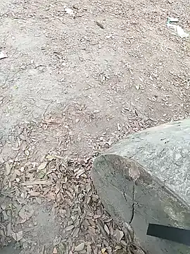 Snapshot of Dasdhon chatting on 11-18-25, 10:20 Dasdhon online show from 11-18-25, 10:20