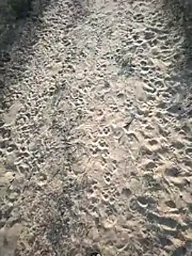 SmartLoda143 online show from 11-19-25, 11:10