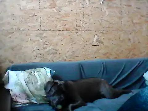 Milana38 online show from 01-16-26, 11:14