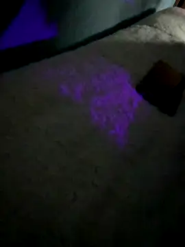 Snapshot of disvla chatting on 11-22-25, 05:17 disvla online show from 11-22-25, 05:17