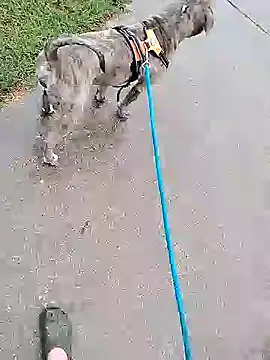 Snapshot of Unknownstepbrother chatting on 10-05-25, 07:56 Unknownstepbrother online show from 10-05-25, 07:56