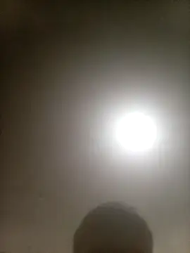 Bebicho14 online show from 02-10-26, 04:22