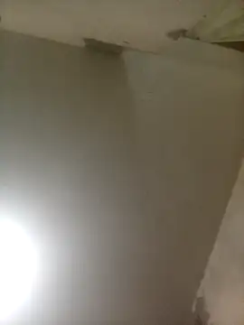 Bebicho14 online show from 04-03-26, 01:58