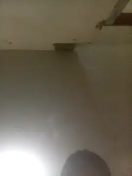 Bebicho14 online show from 04-04-26, 05:49