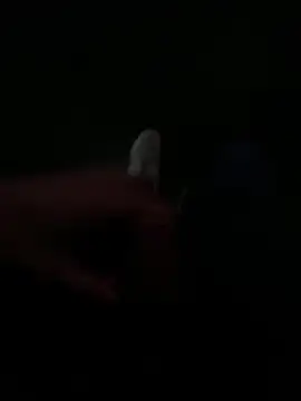 Luck  090 online show from 09-19-25, 11:16