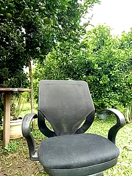 AlphaAlterX online show from 10-12-25, 01:32