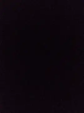 Snapshot of hairy_mannn chatting on 06-29-26, 12:50 hairy mannn online show from 06-29-26, 12:50