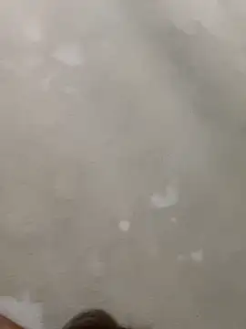 Snapshot of Doggy8668 chatting on 03-03-26, 07:42 Doggy8668 online show from 03-03-26, 07:42